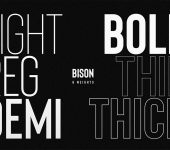Bison Bold Font